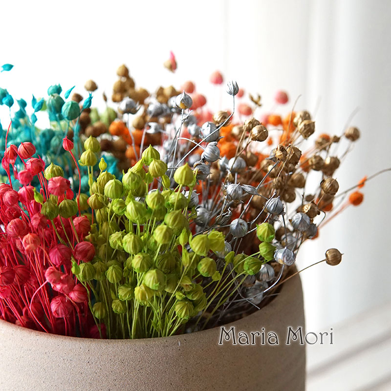 Dried Flower Bulk - 5g Bewaarde Vlasboon Natuurlijke Echte Bloemen