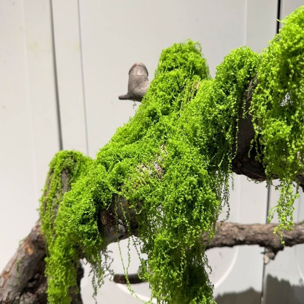 Terrarium Moss Art - Polyester Kunstmos Planten DIY Knutselwerk Realistische