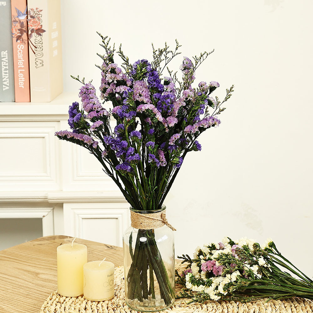 Dried Flower Bulk - 100g Natuurlijke Echte Vergeet-mij-nietje Bloemboeket Mix