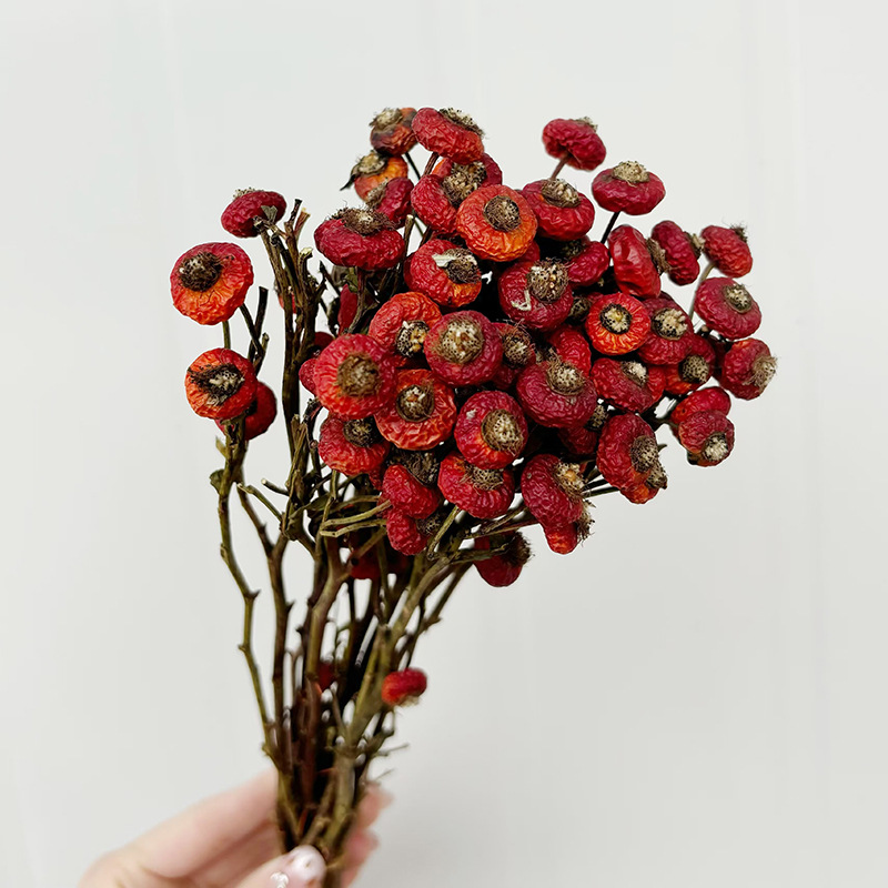 10 stuks/bundel gedroogde roze - Dried Flower Bulk recensie en prijs