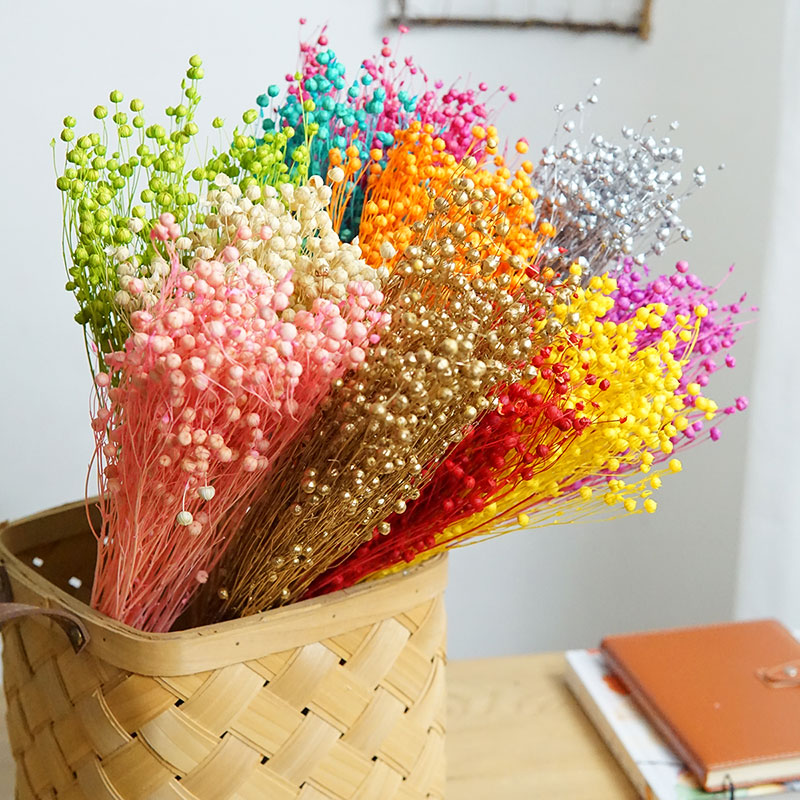35g/Geconserveerde Ormosia Hos - Dried Flower Bulk recensie en prijs