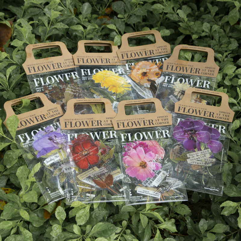 10 stuks/verpakking Hoekbloeme - Dried Flower Bulk recensie en prijs