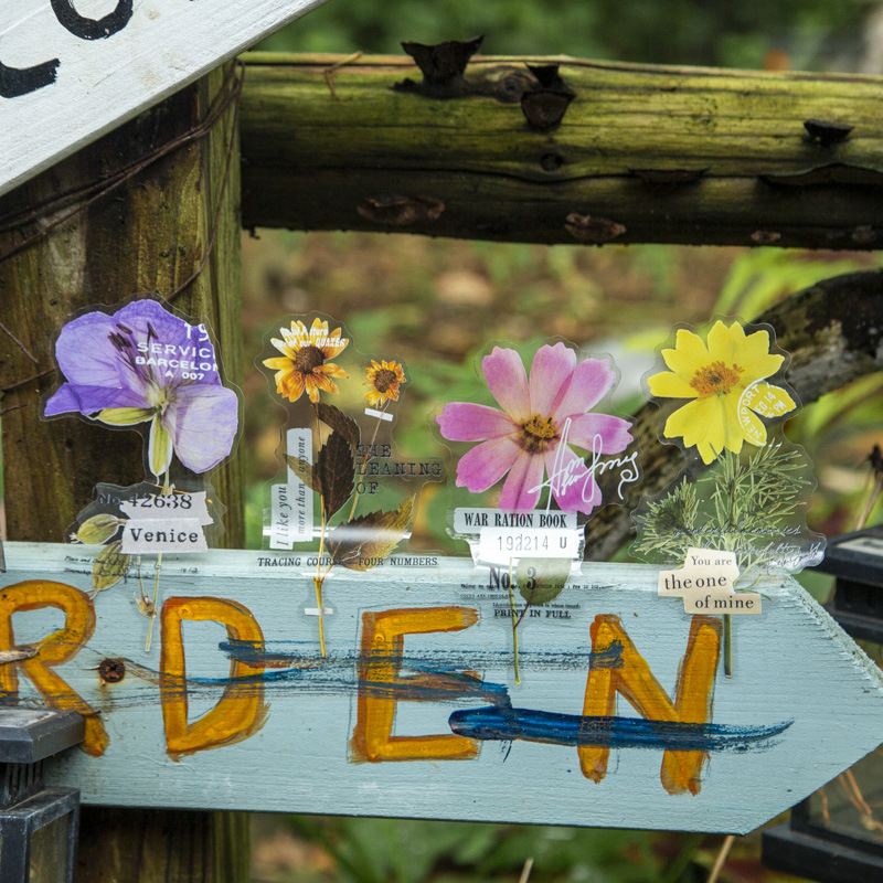 10 stuks/verpakking Hoekbloeme - Dried Flower Bulk recensie en prijs
