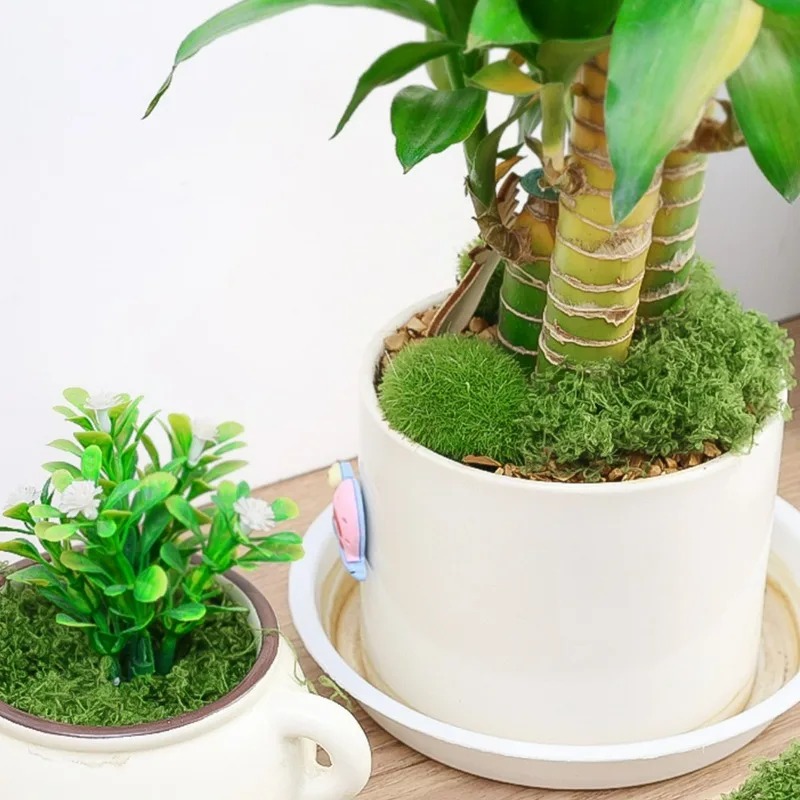 30/300G Kunstmatig Realistisch - Terrarium Moss Art recensie en prijs