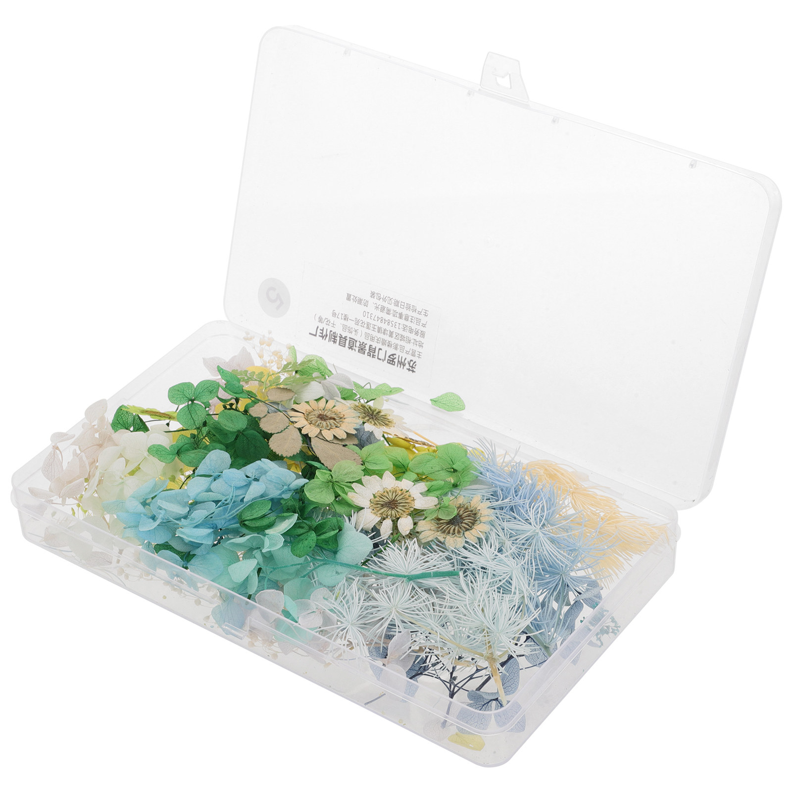 DIY Bruidshoofdband Gedroogde  - Resin Crafts Diy recensie en prijs