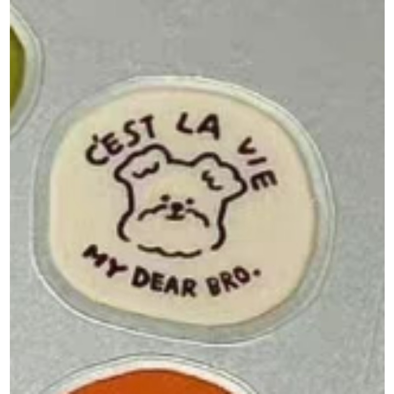 Leuke cartoon kat hond 3D tran - Resin Craft Material recensie en prijs